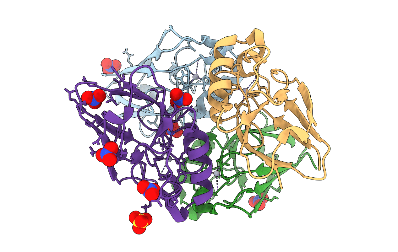 4JKN image