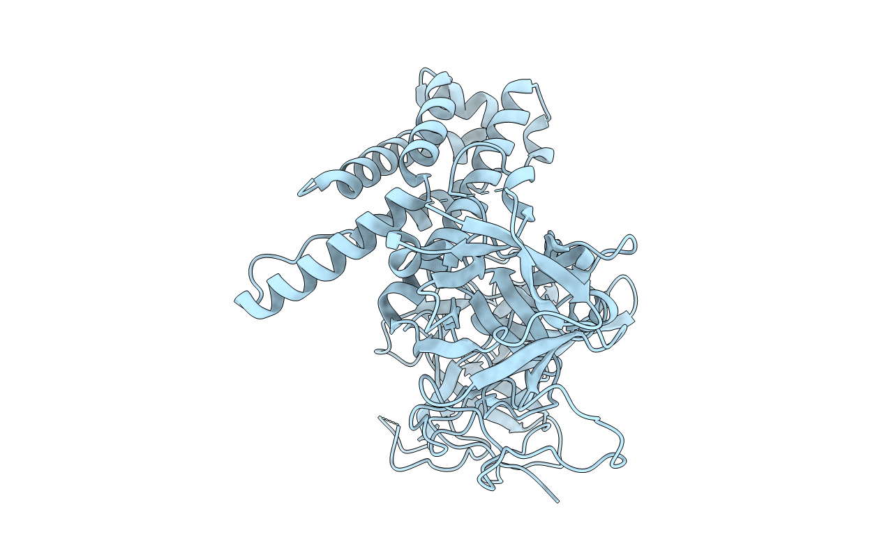 4JKQ image