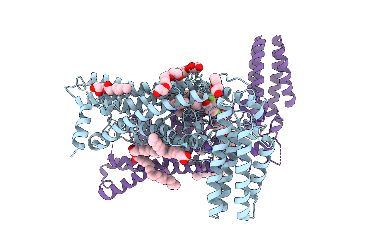 4JKV image