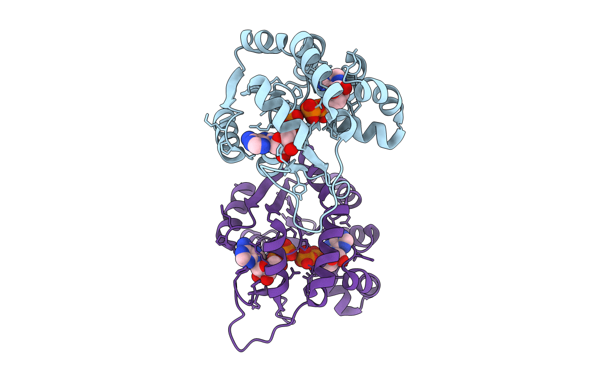 4JLB image