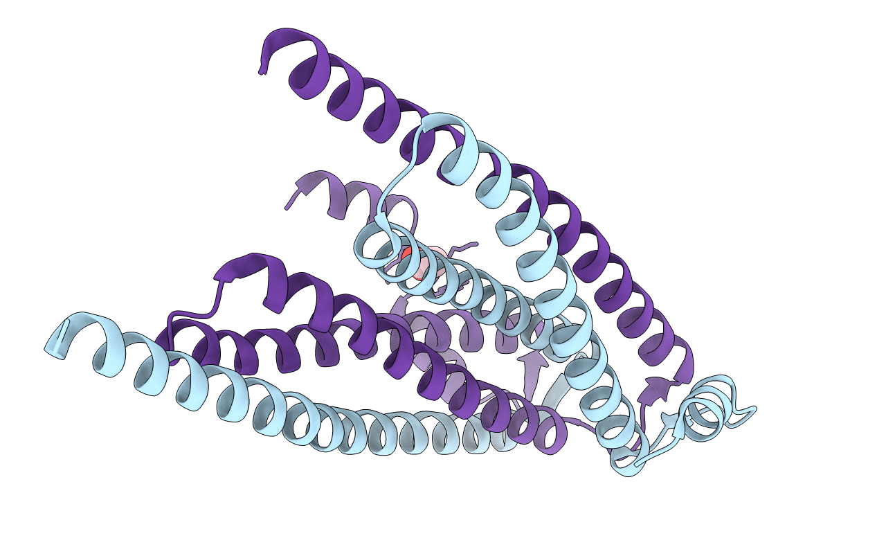 4JLE image