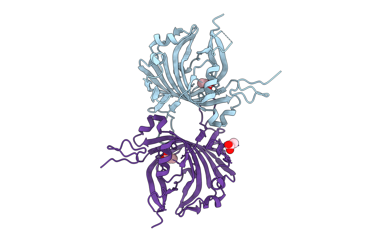 4JMC image