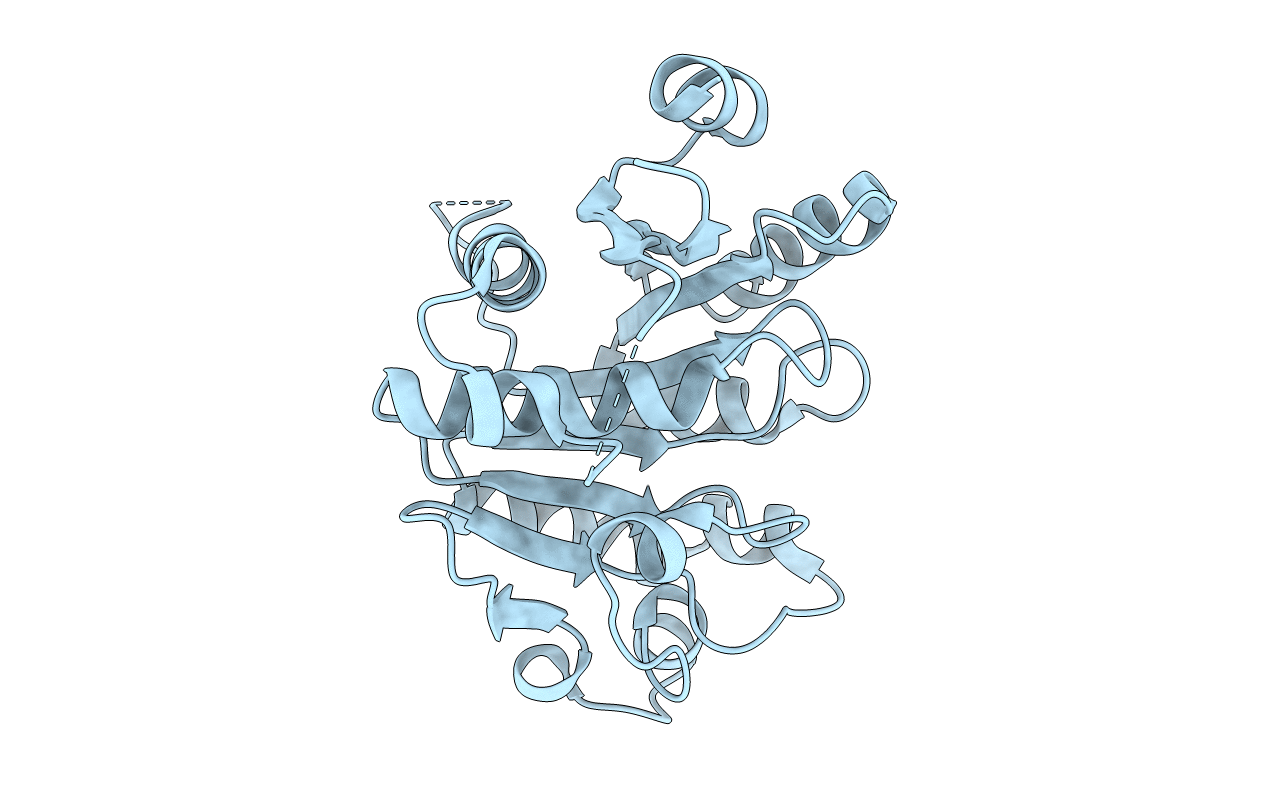 4JMP image