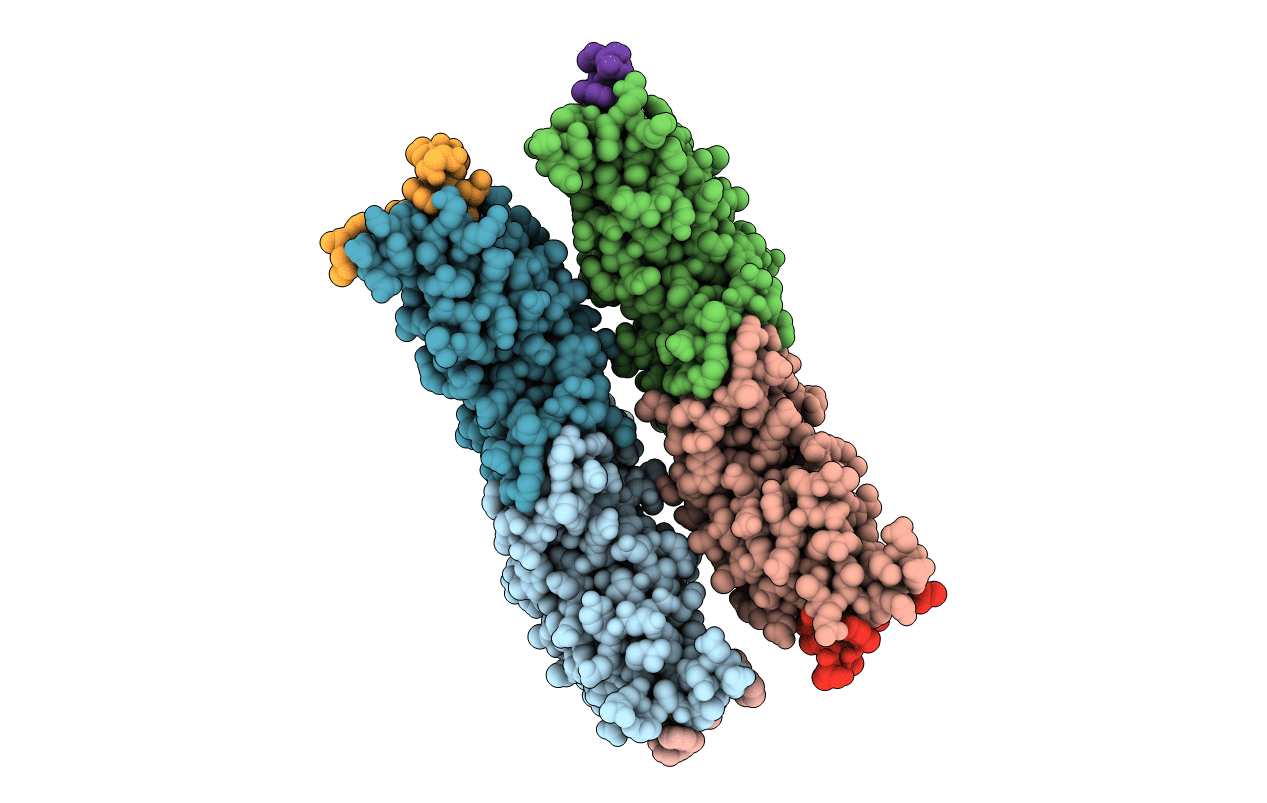 4JMR image