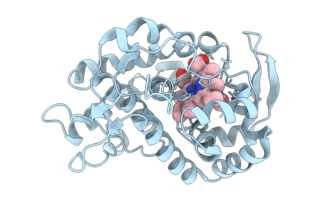 4JMT image