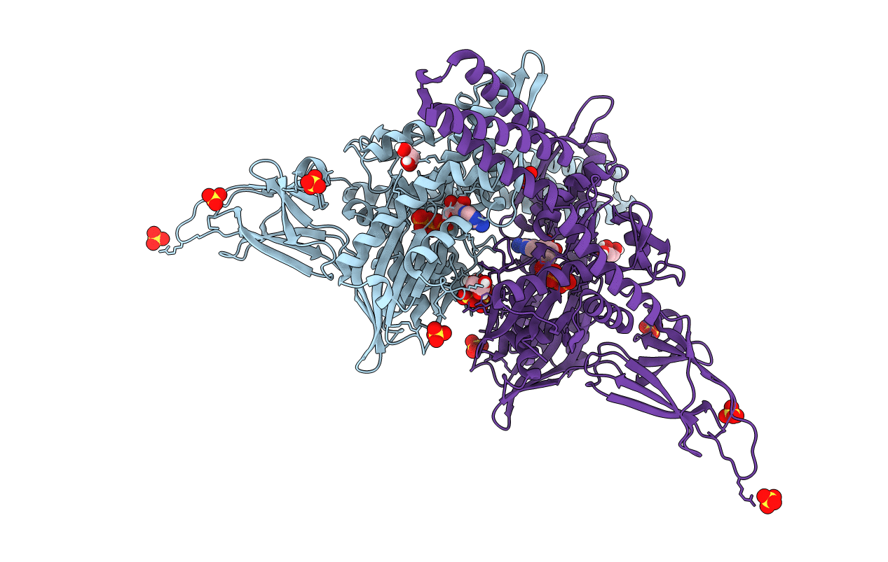 4JN4 image