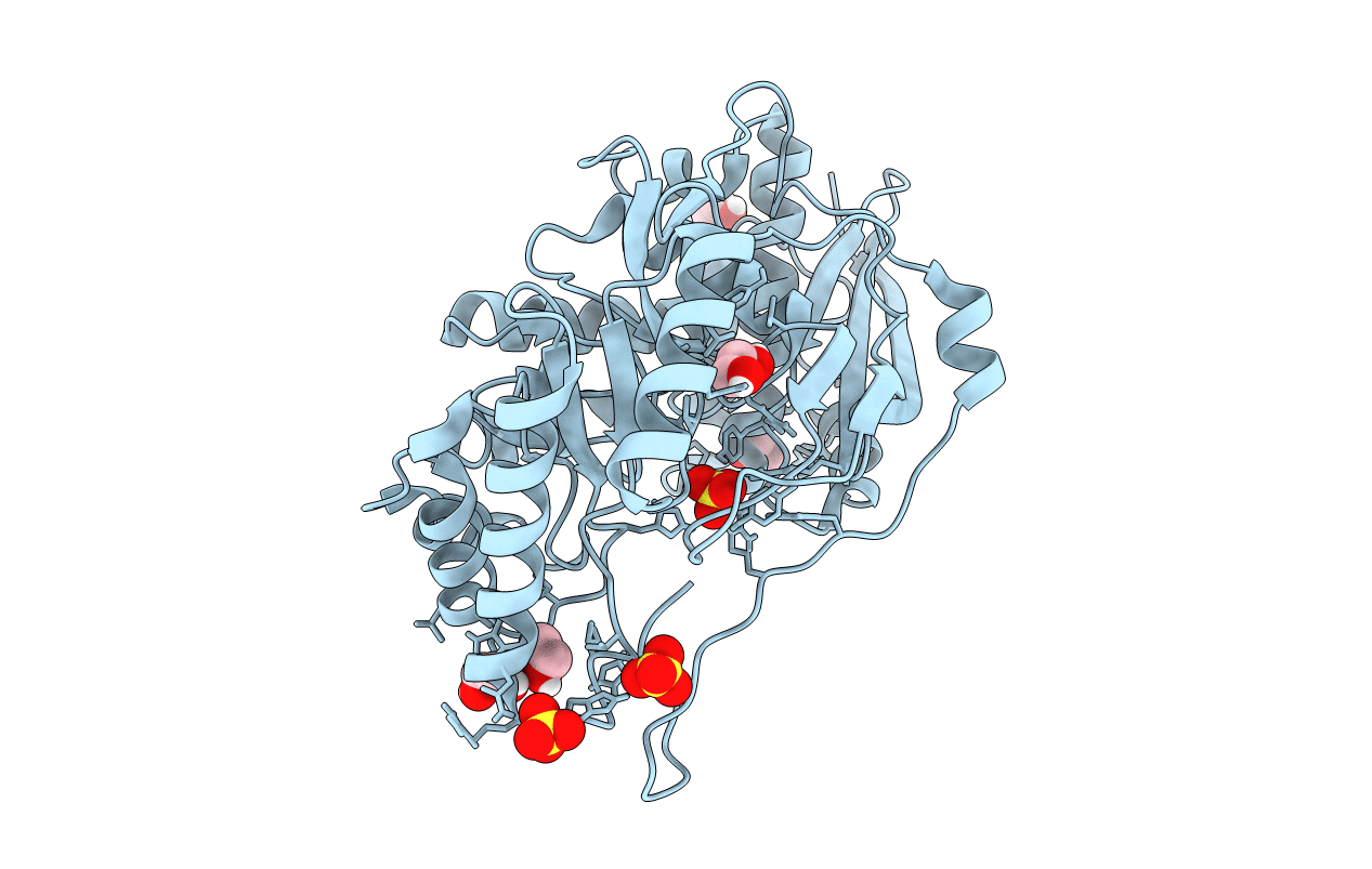 4JN8 image