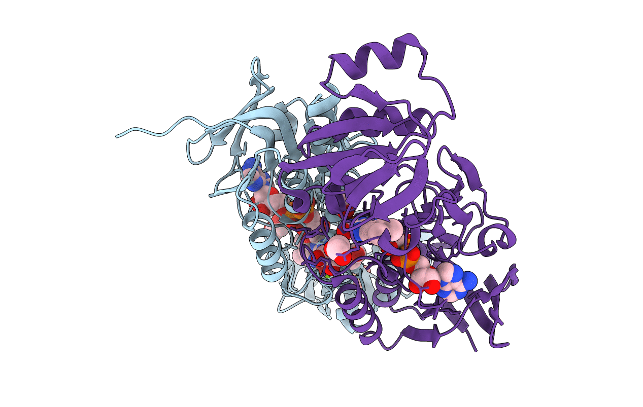 4JN9 image