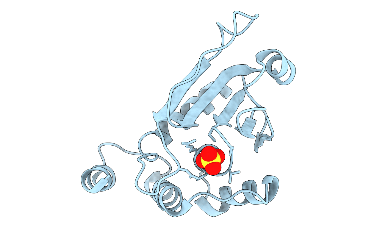 4JNB image