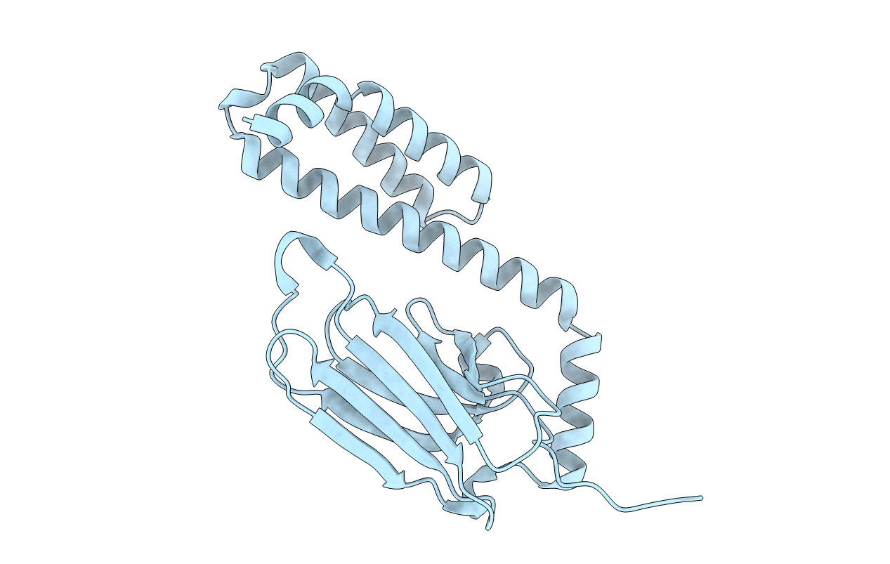 4JNF image