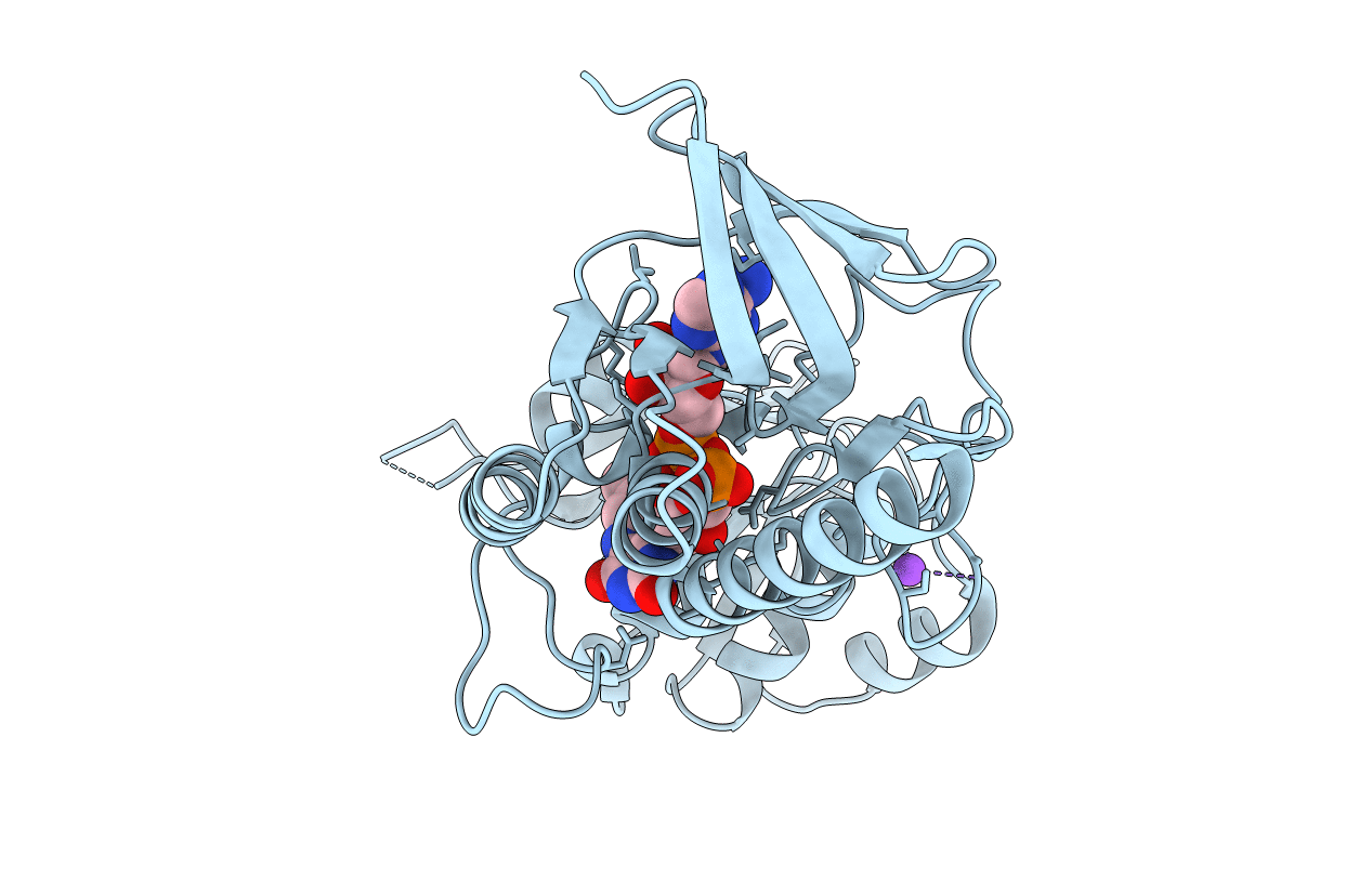 4JNQ image