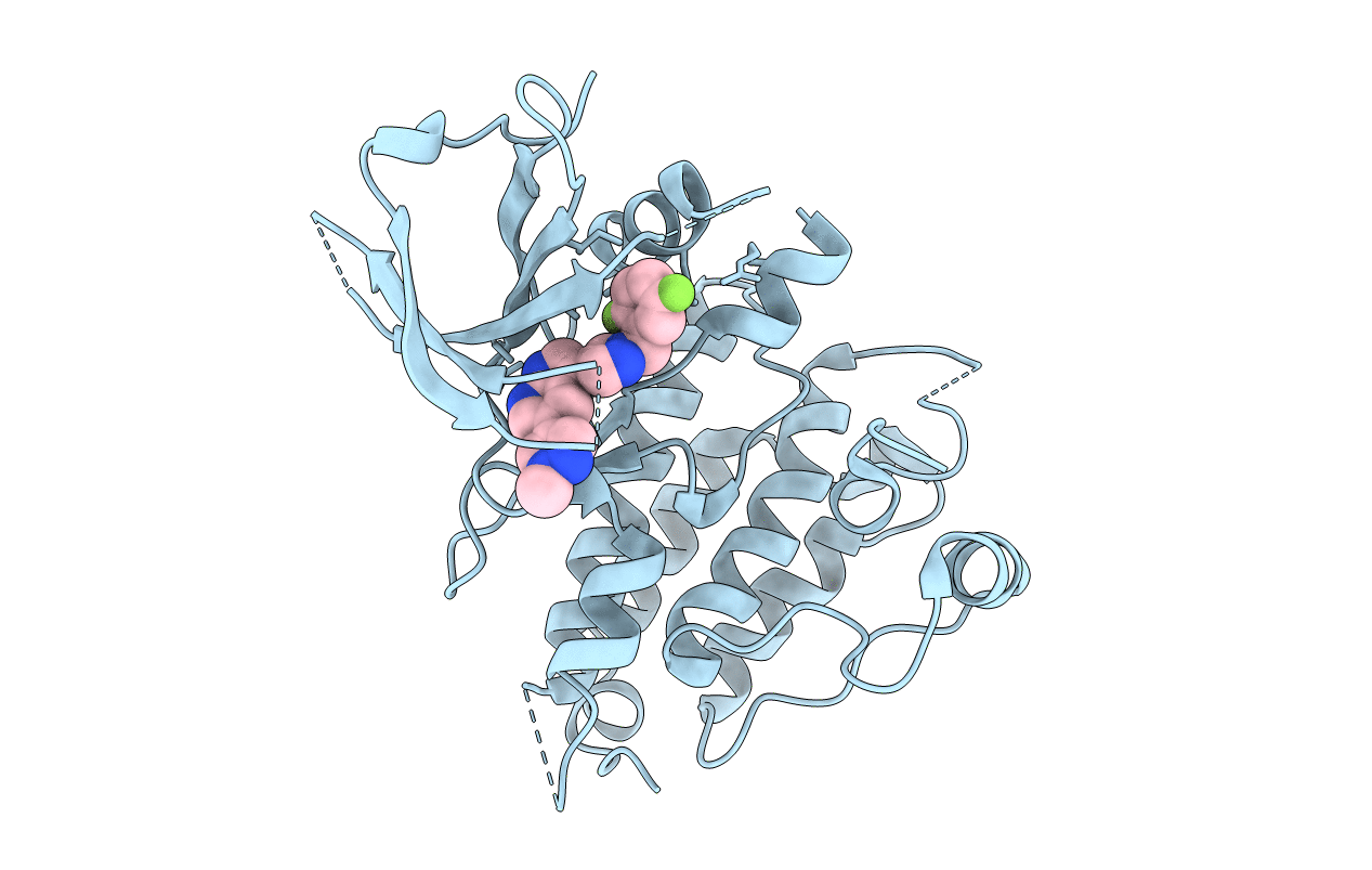 4JOA image