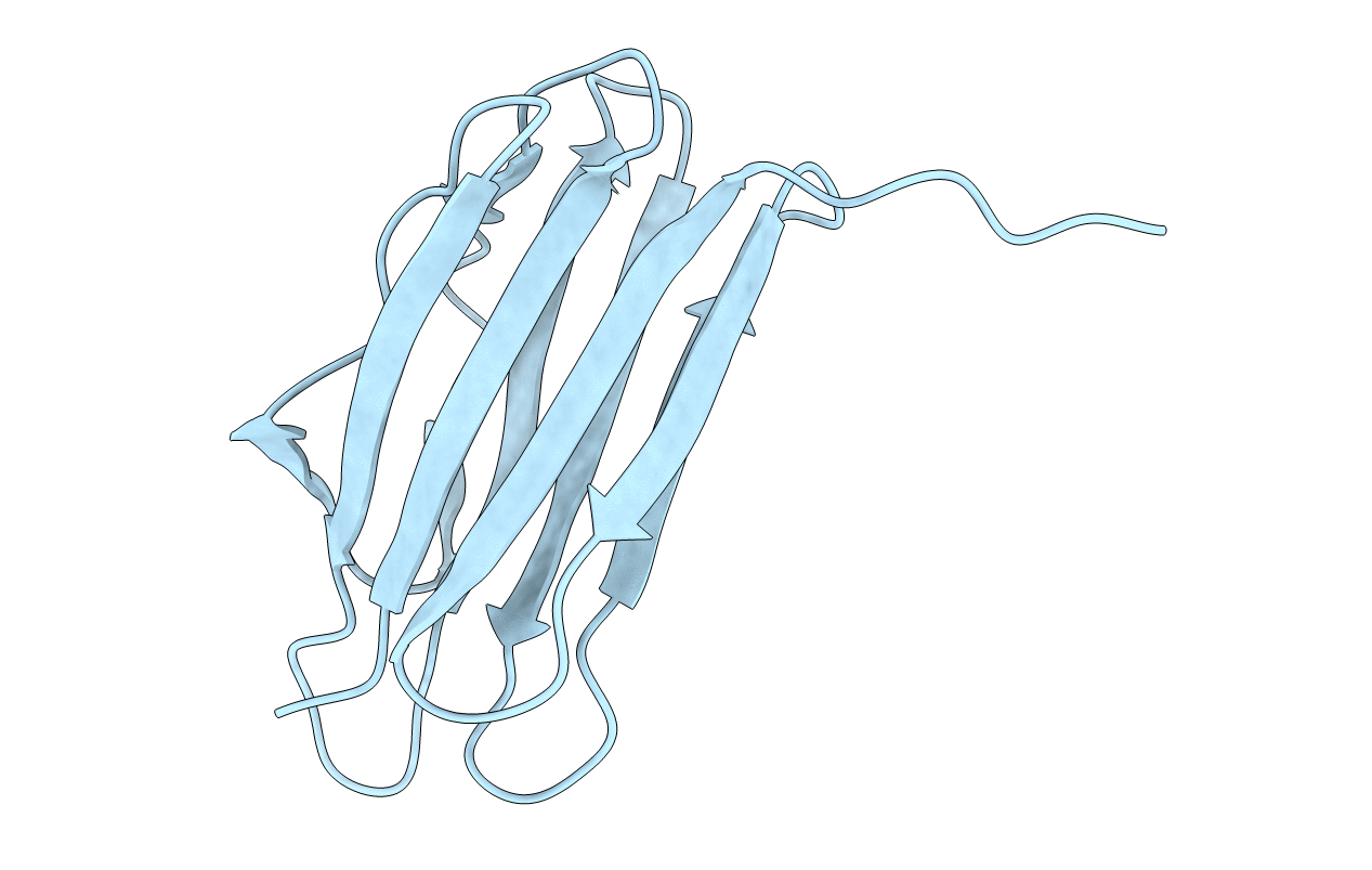 4JOX image
