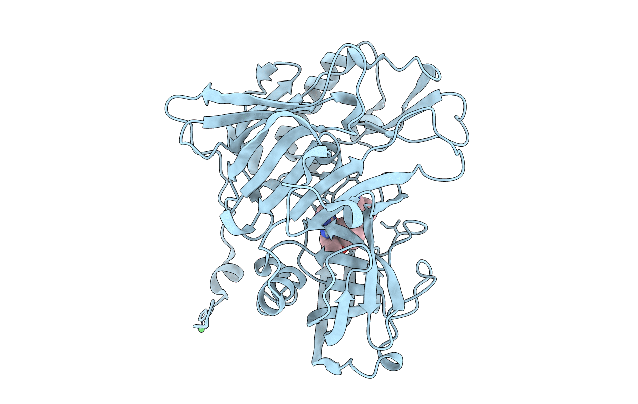 4JPC image