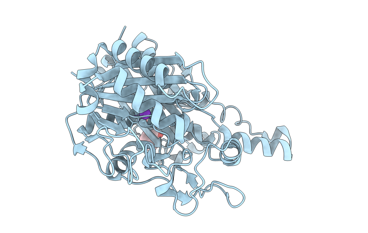 4JPF image
