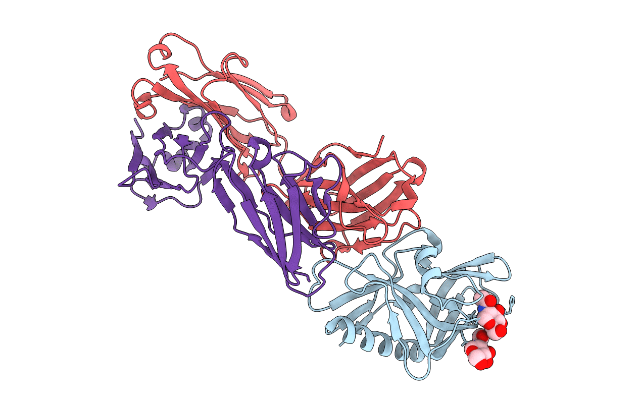 4JPK image