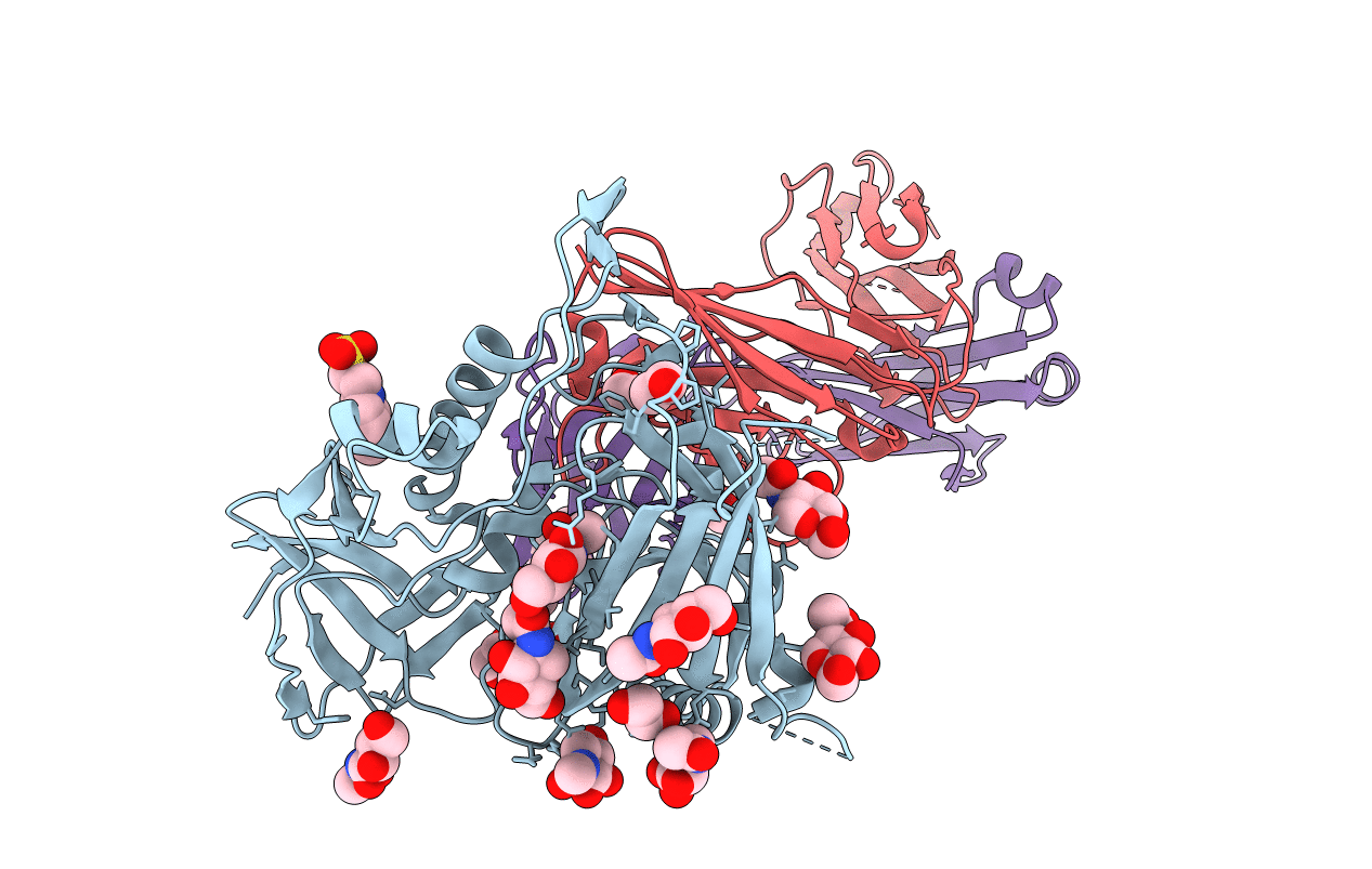 4JPV image