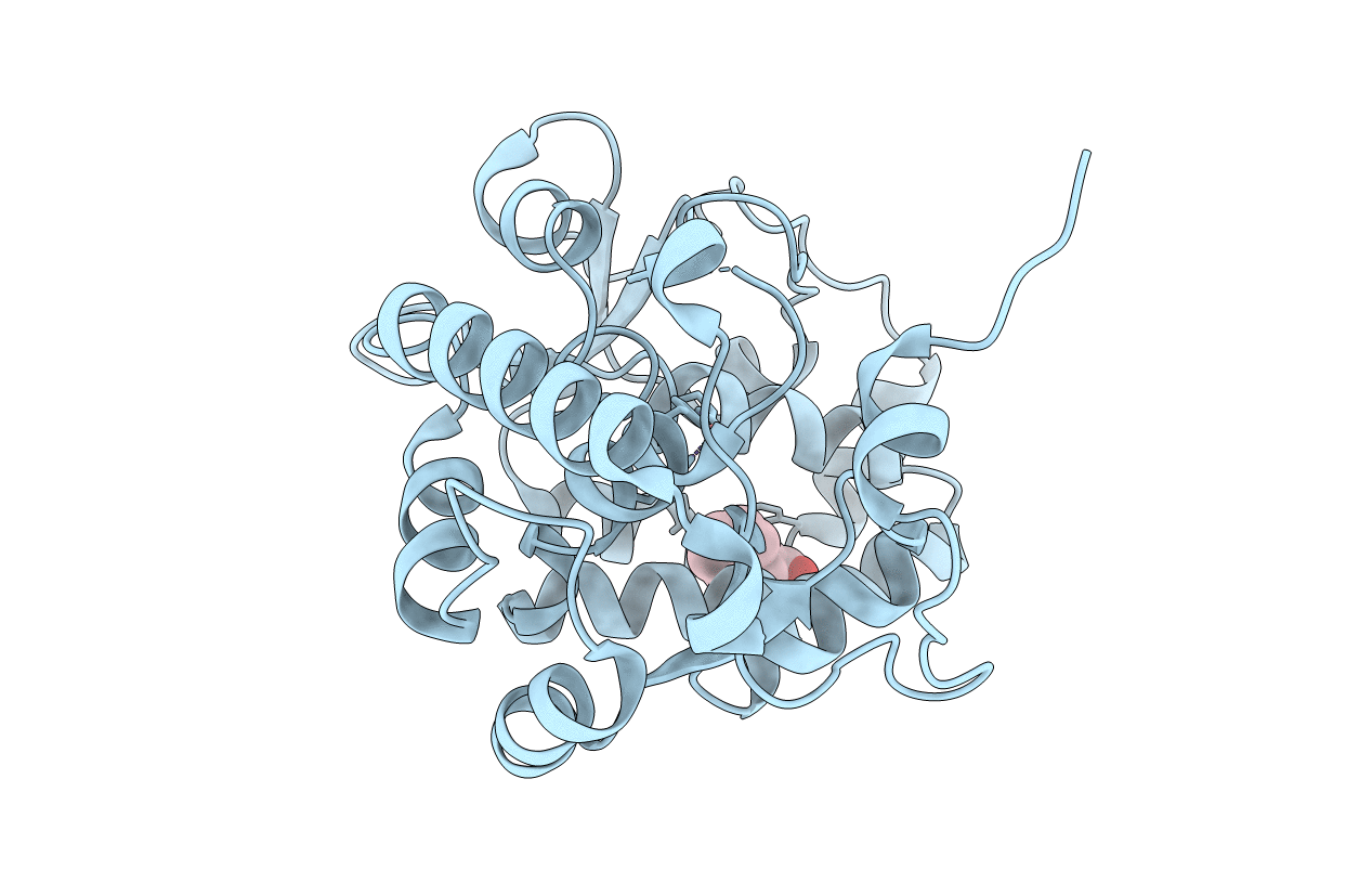 4JPX image