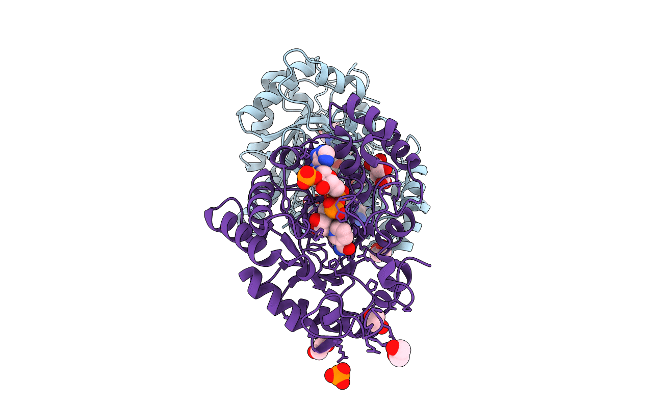 4JQ2 image