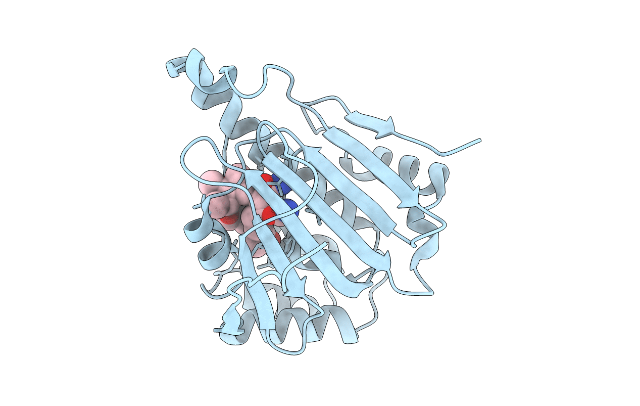 4JQL image