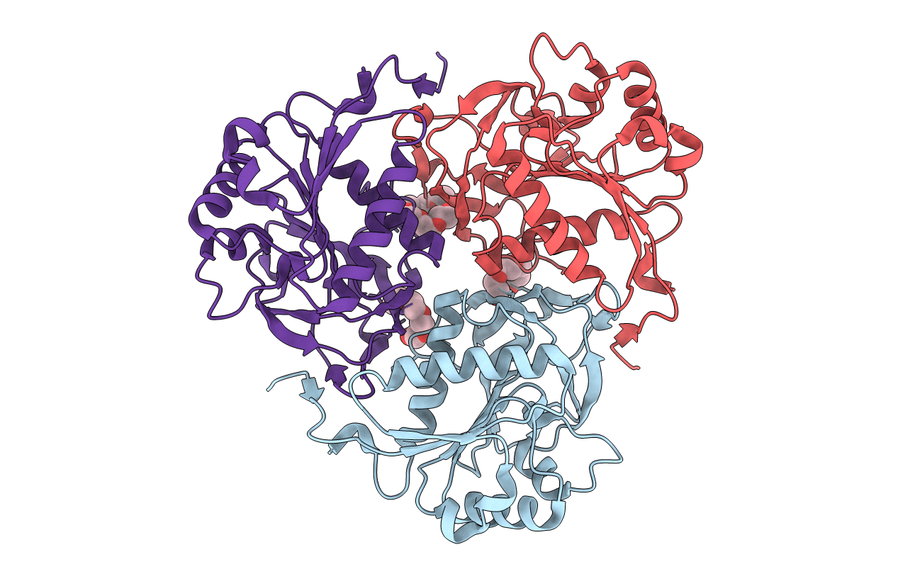 4JQS image