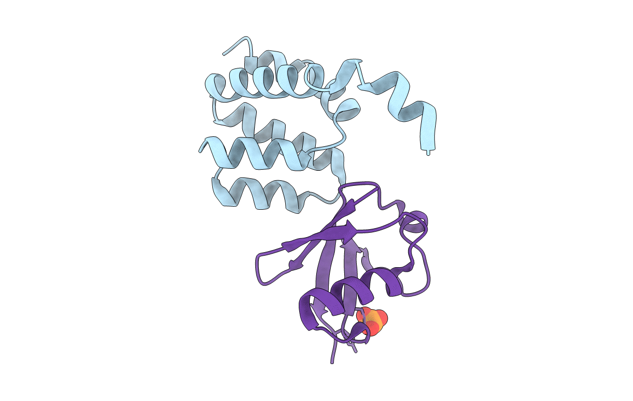 4JQW image