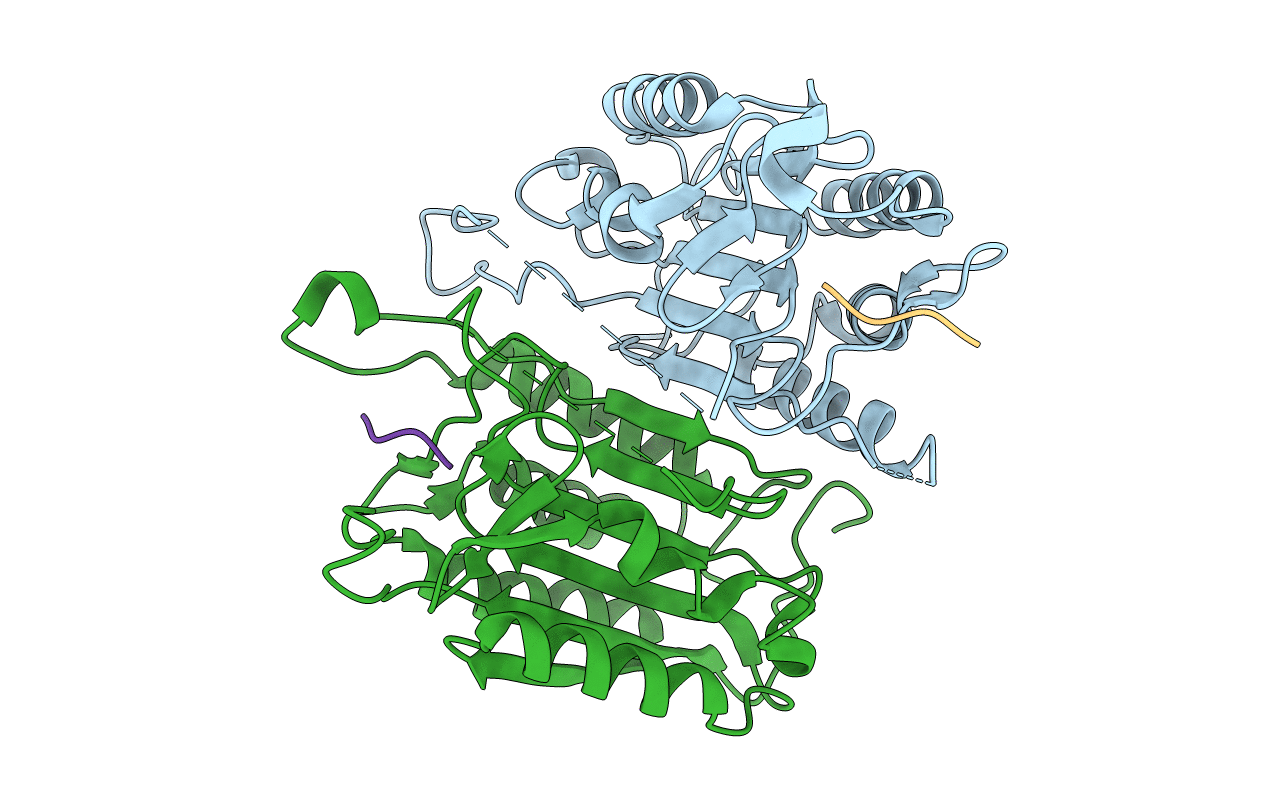 4JR1 image
