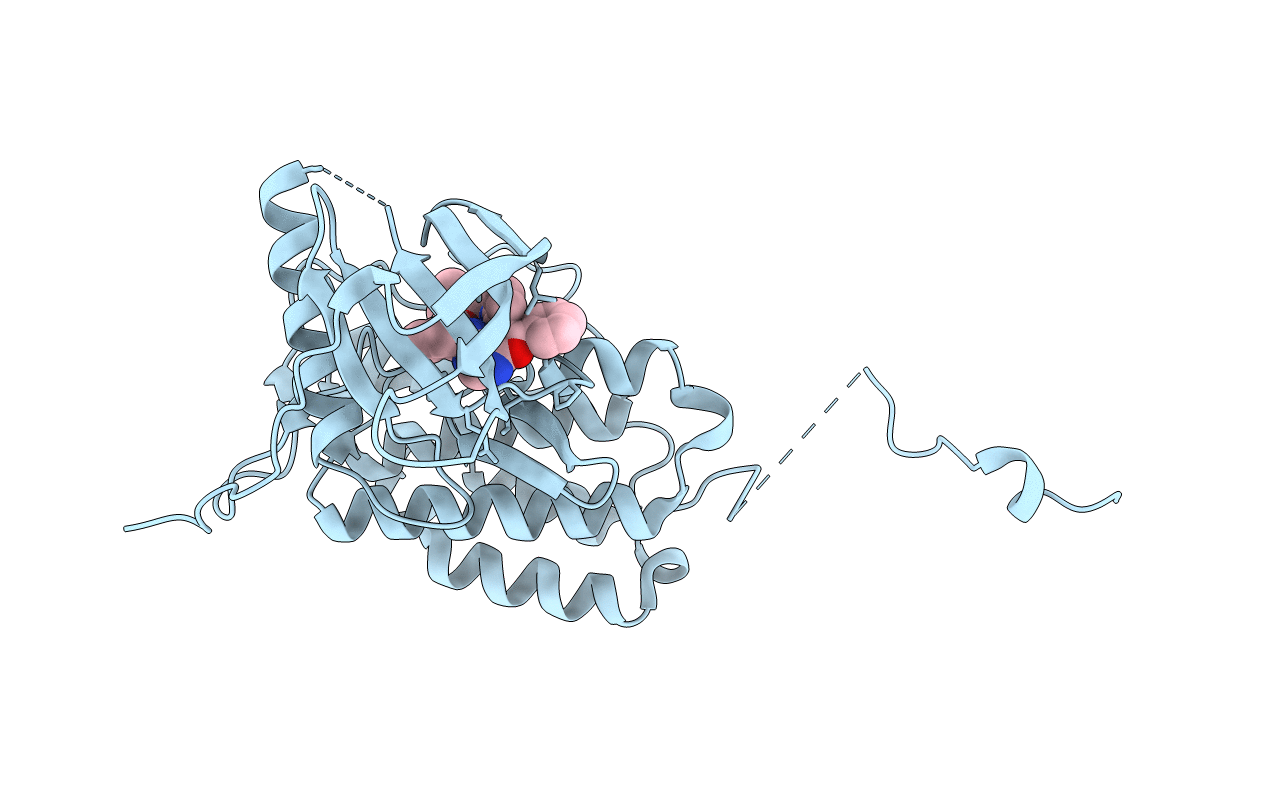 4JRV image