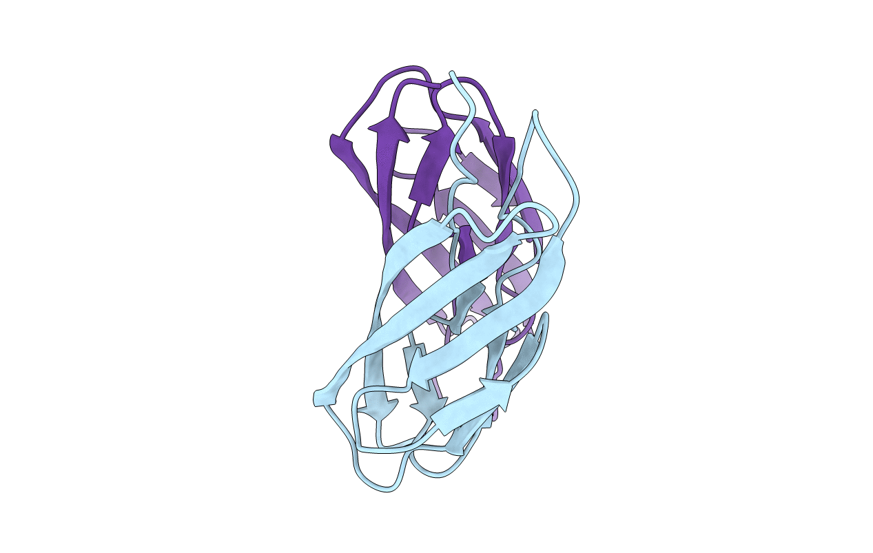 4JRW image