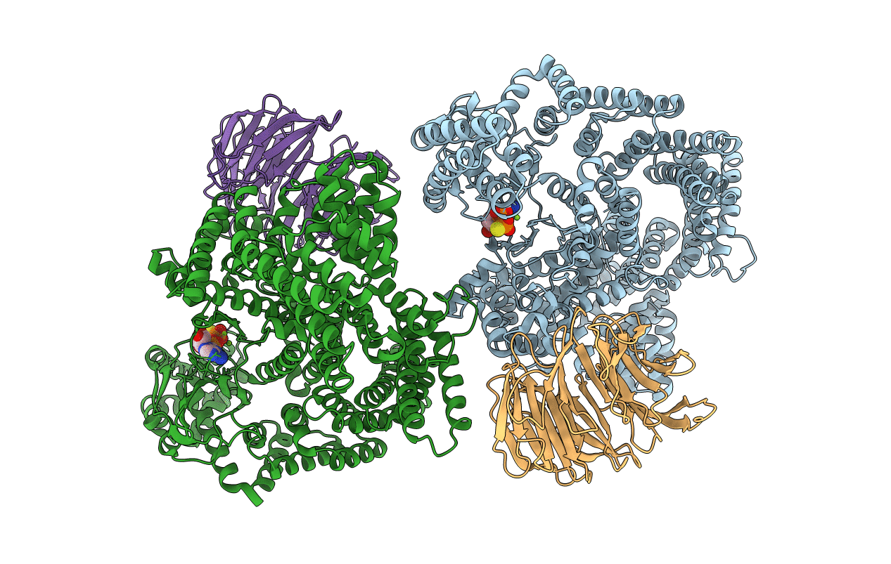 4JSP image