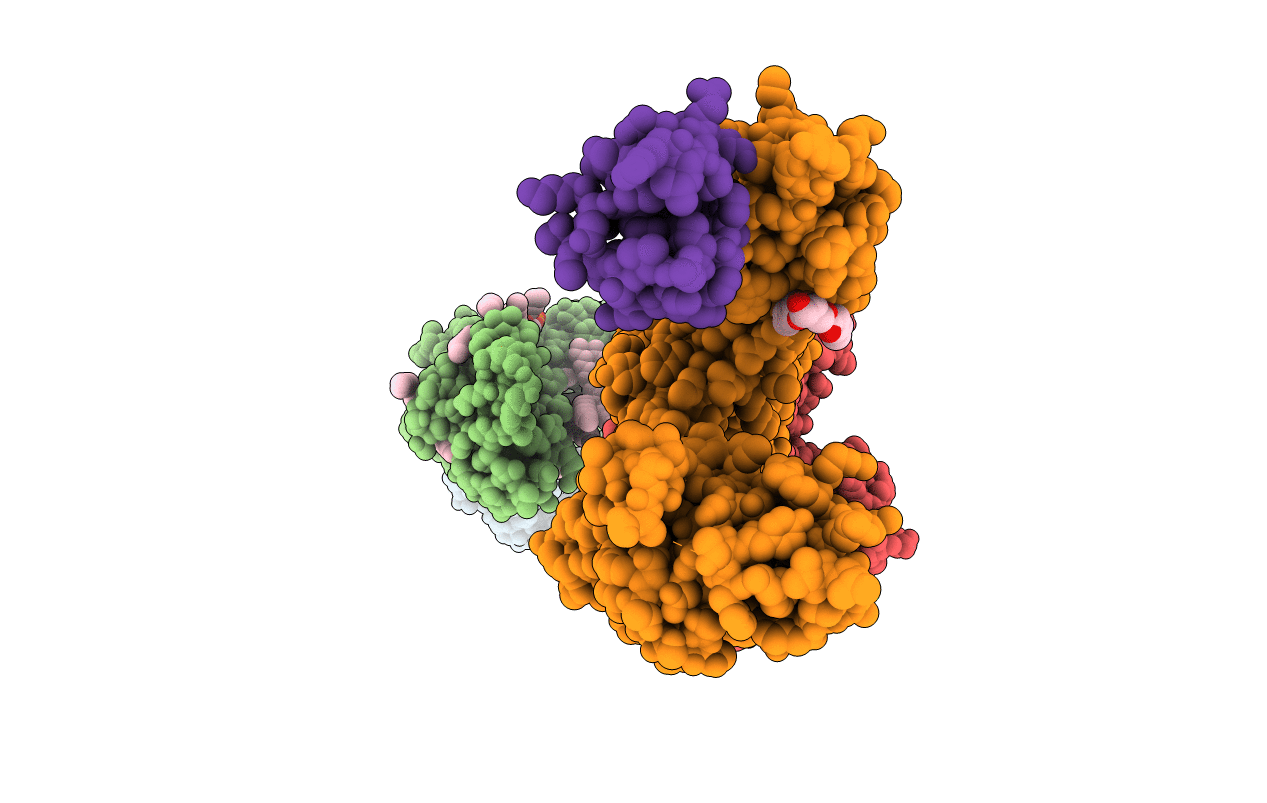 4JTA image