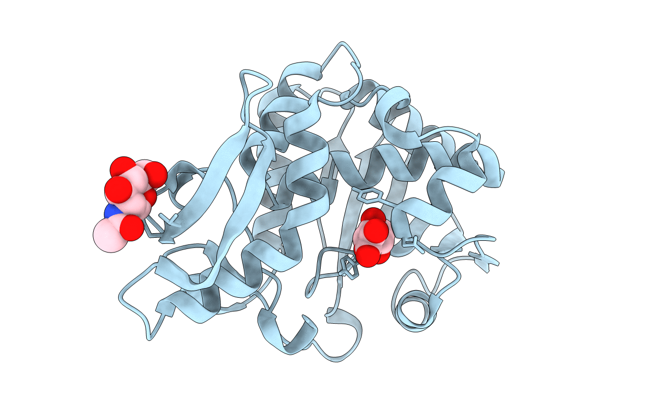 4JTP image
