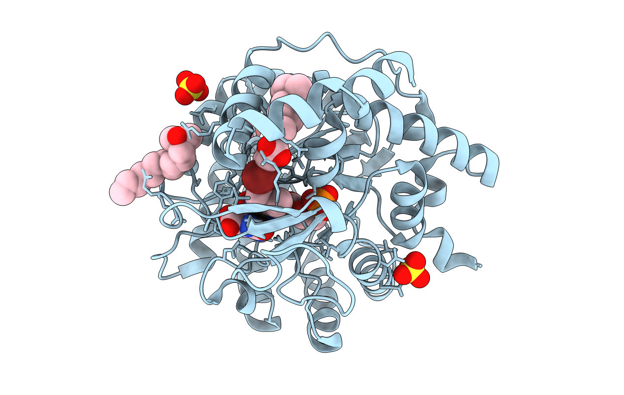 4JTU image