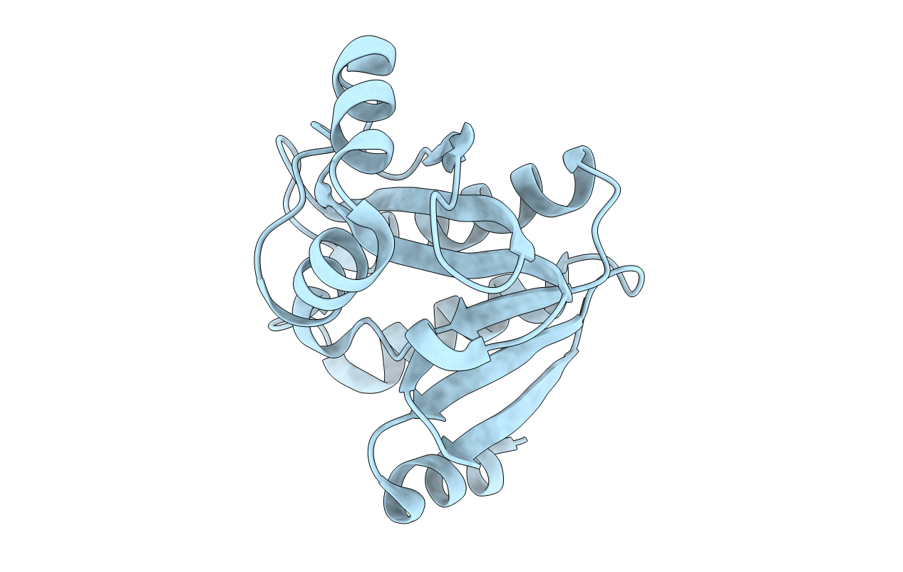 4JVV image