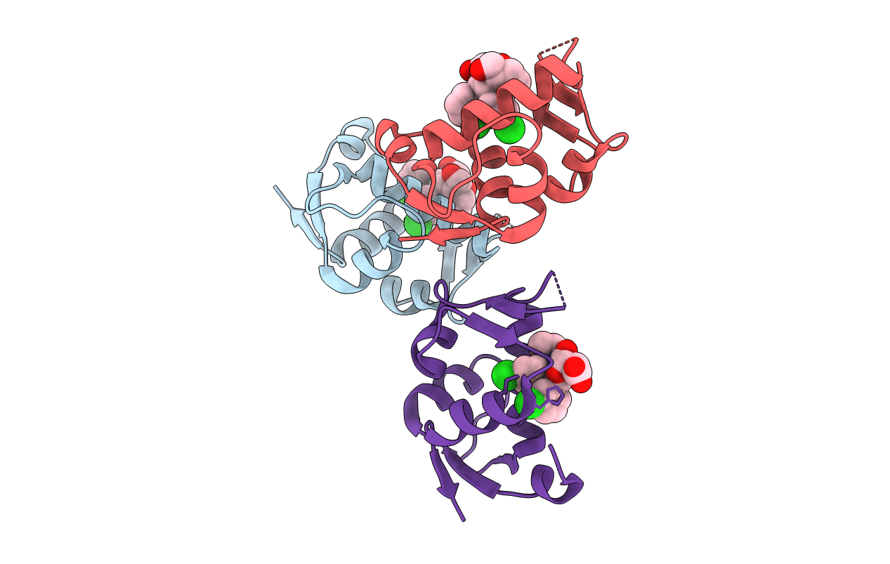 4JWR image