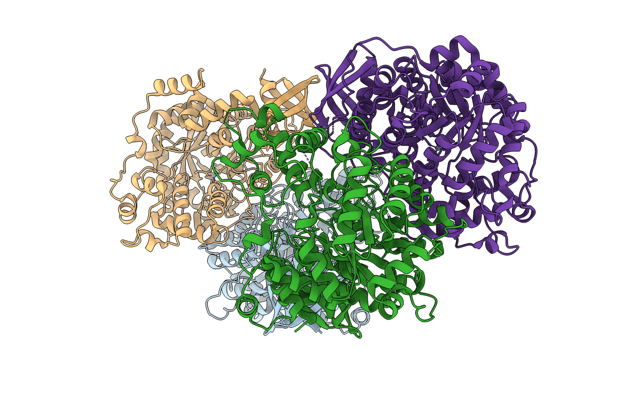 4JX4 image
