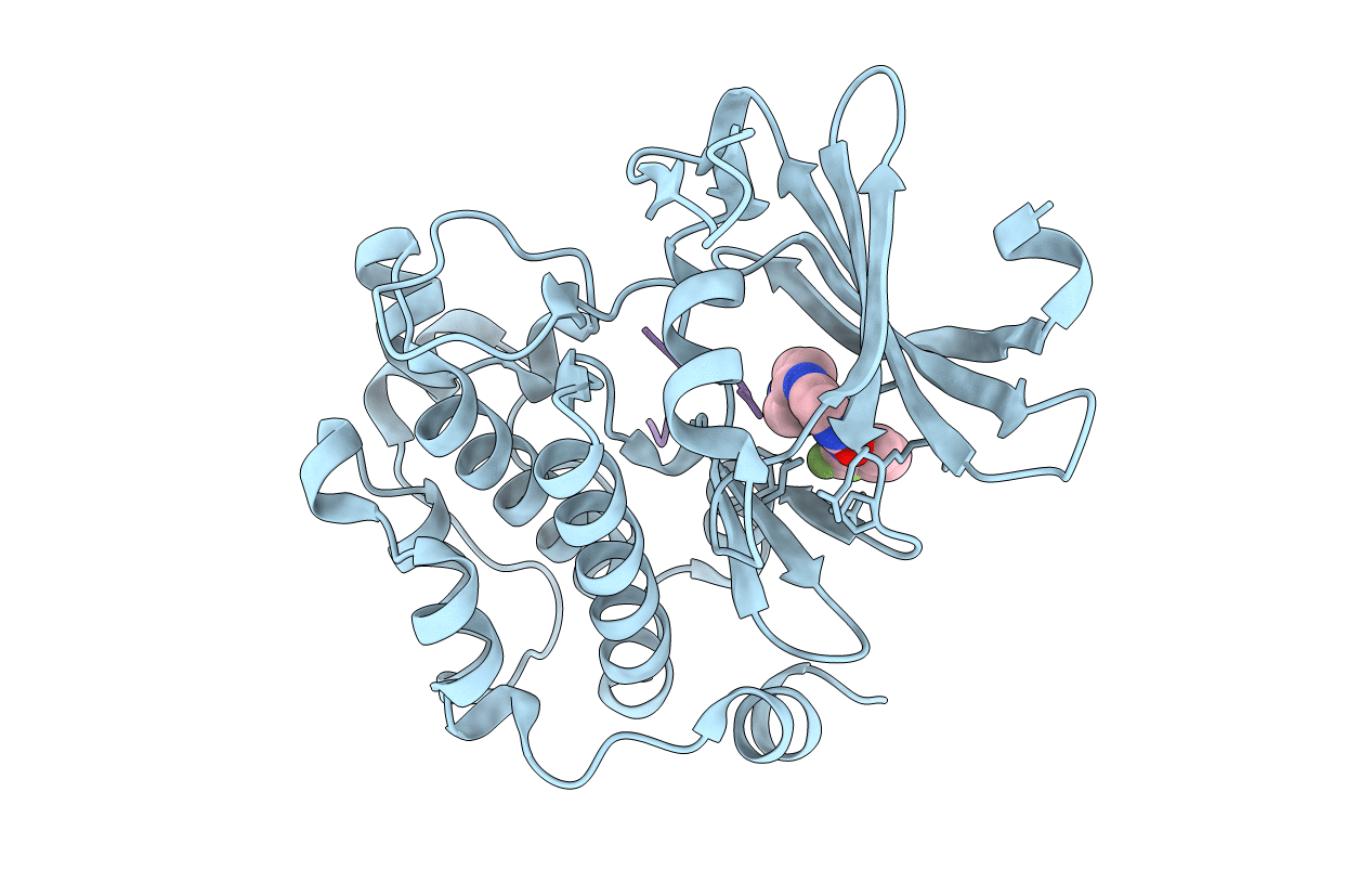 4JX7 image