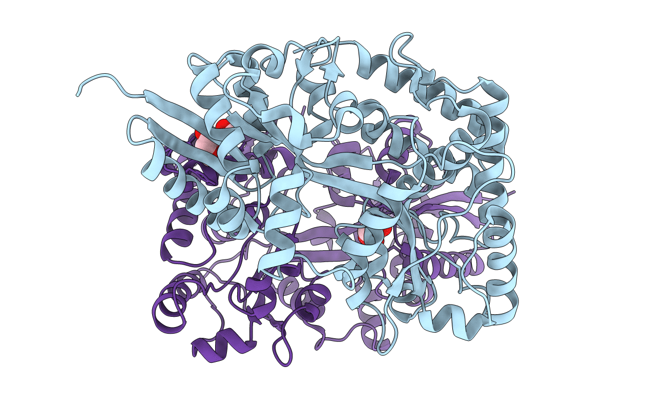 4JXI image