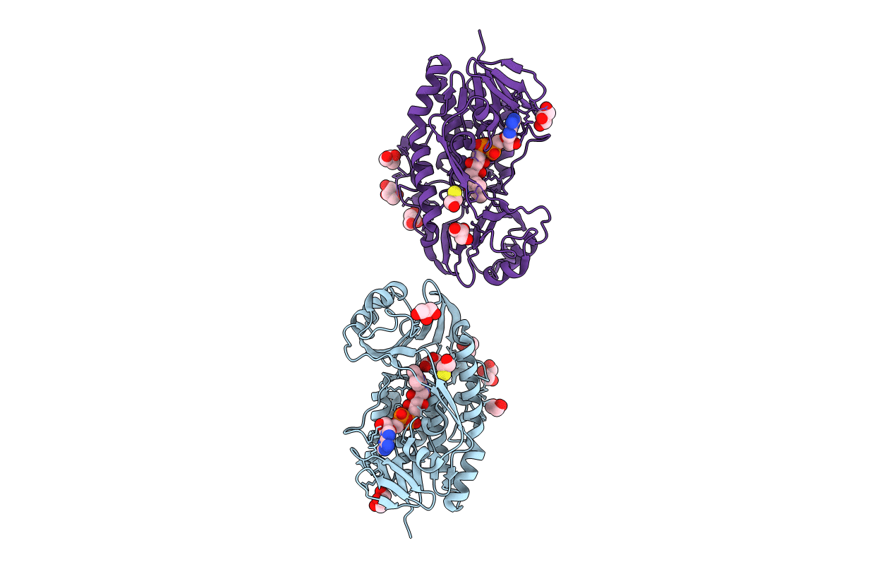 4JY2 image