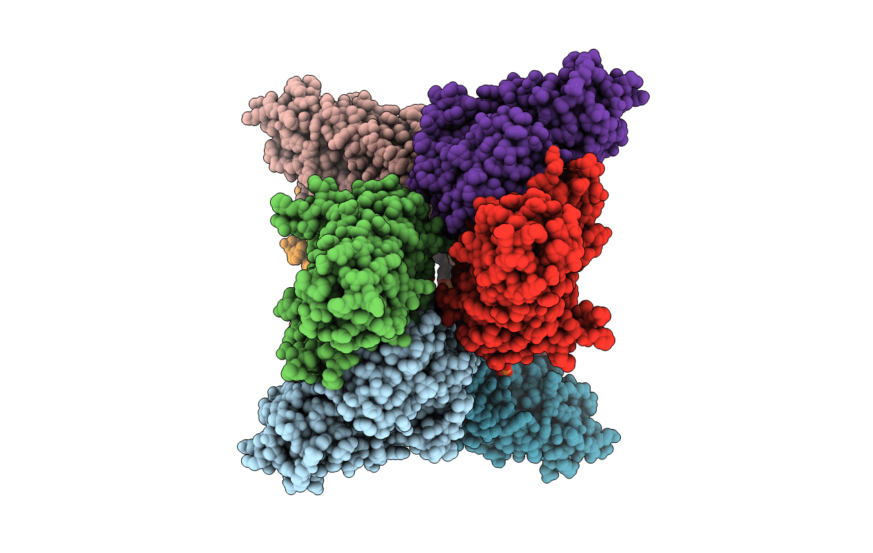 4JYX image
