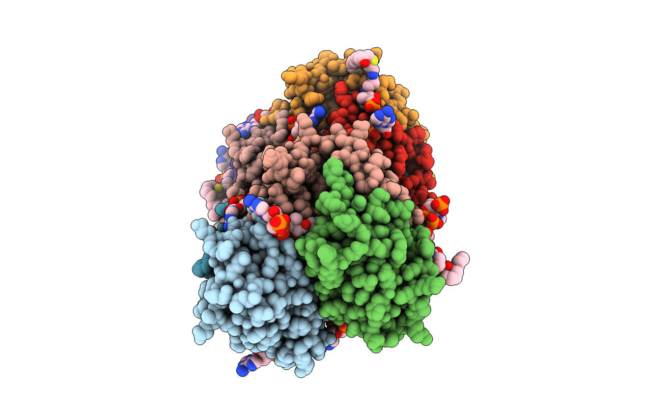 4K4B image