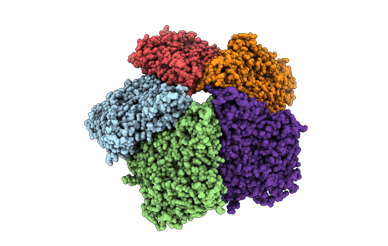 4K7H image