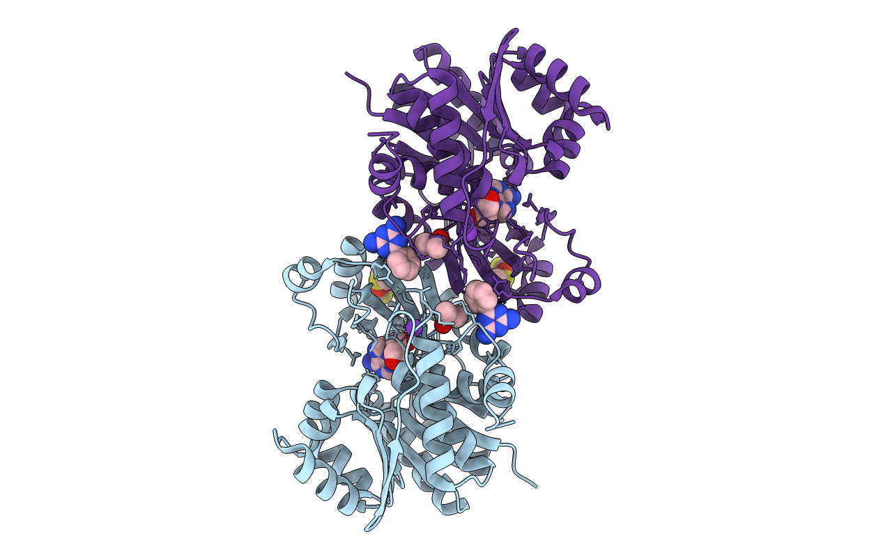 4KBE image