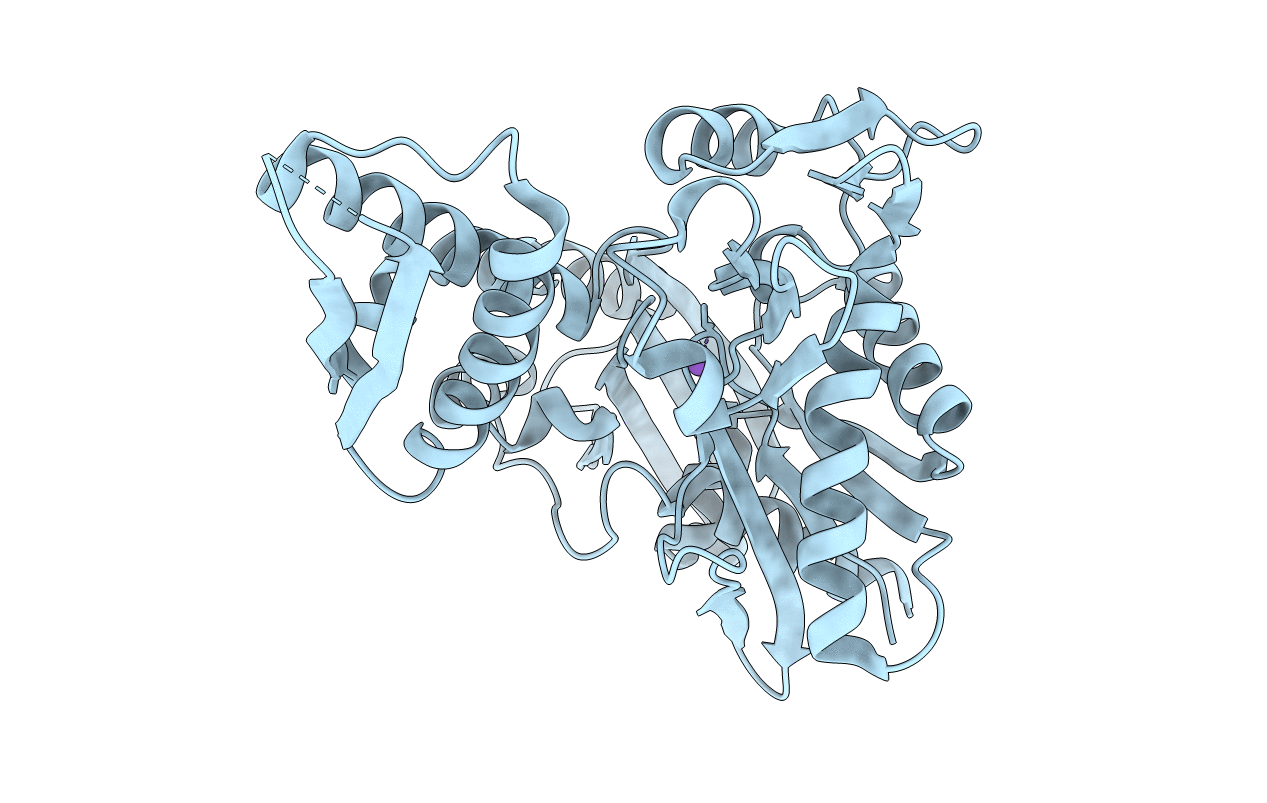 4KBO image