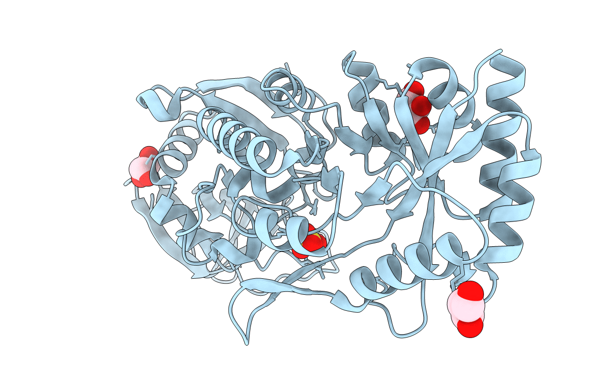 4KBX image
