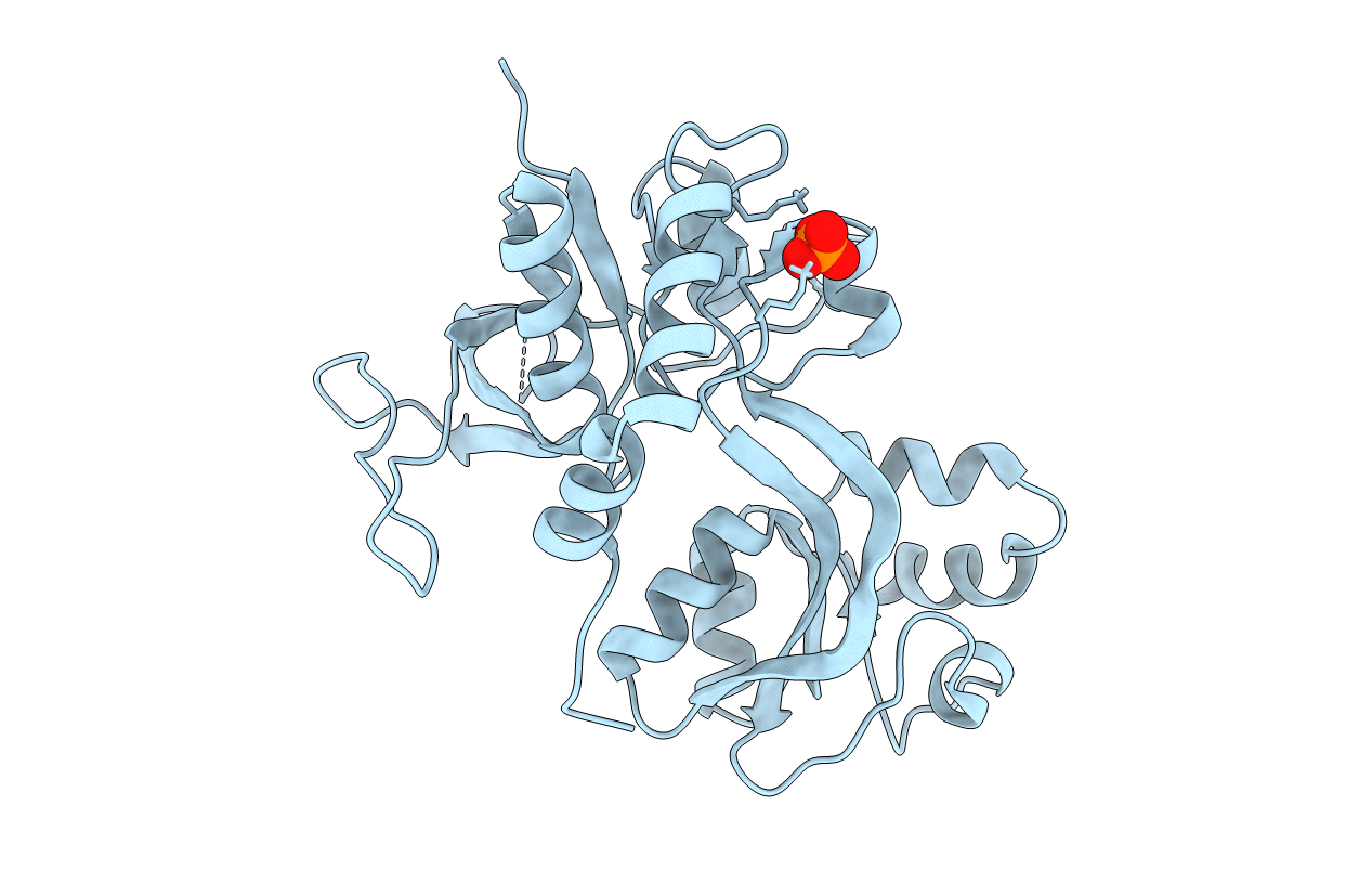 4KCC image