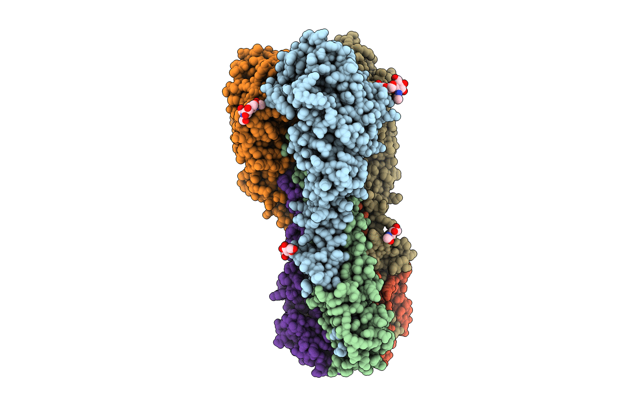 4KDM image