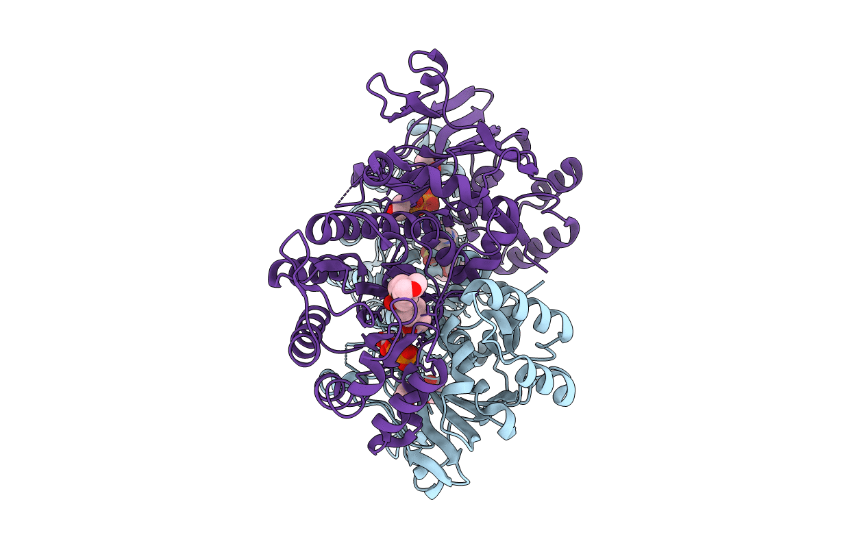 4KFP image