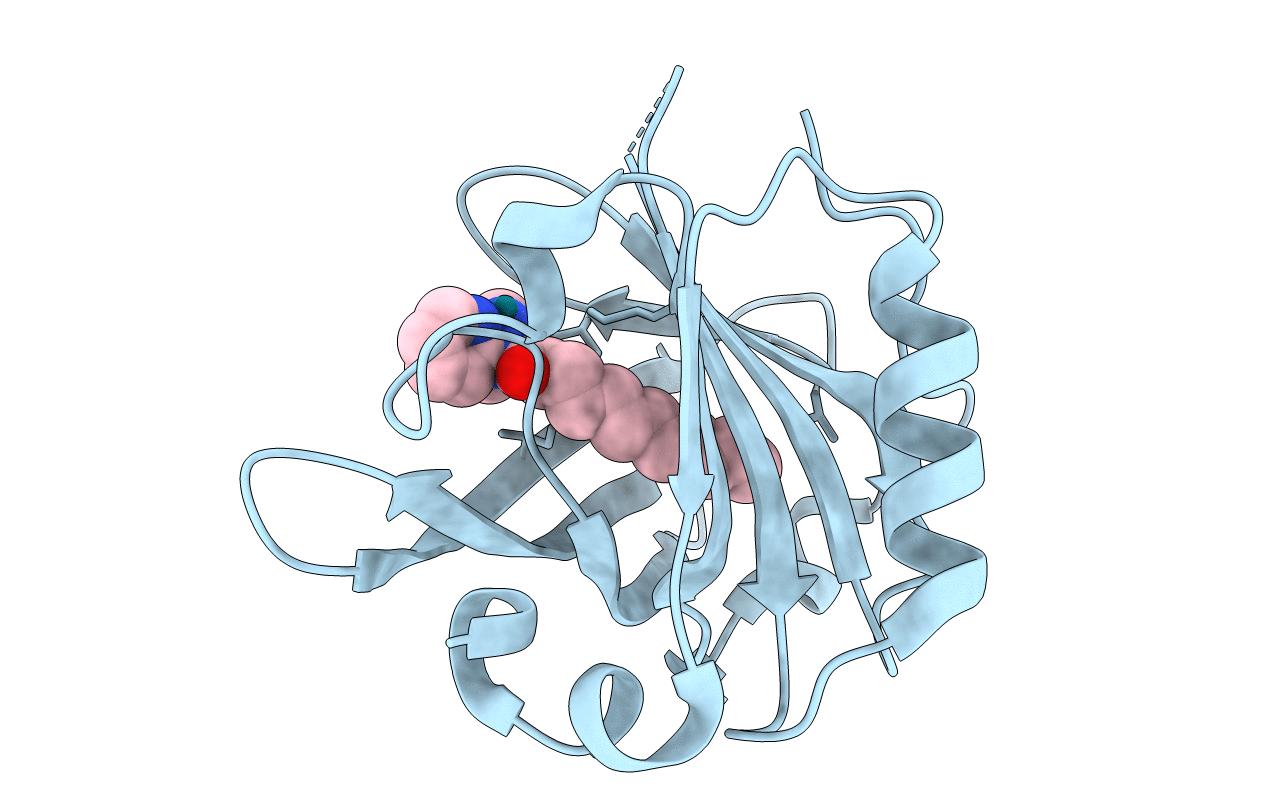 4KII image