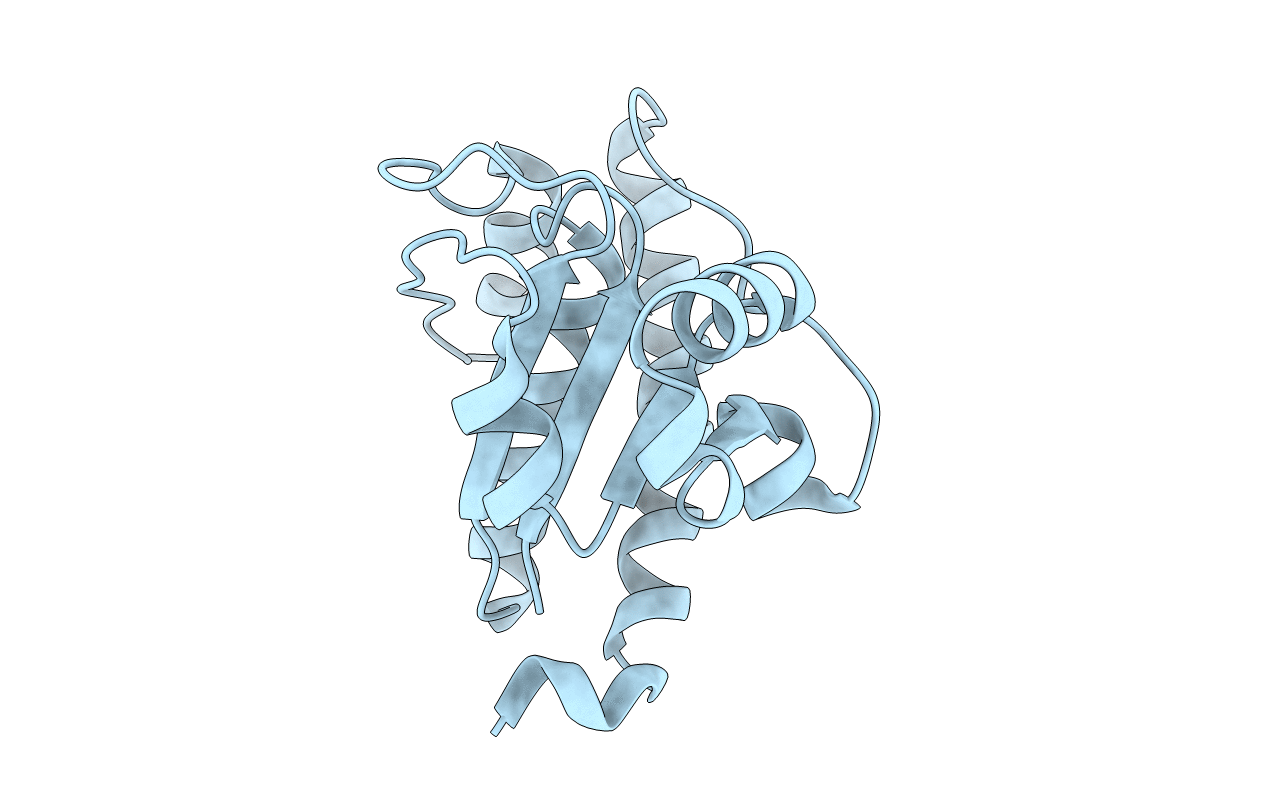 4KK4 image